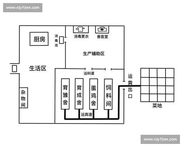 篮球比赛规则解析：从基本规则到进攻防守战术的全面指南